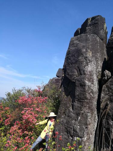 穿越苍南笔架山与鹤顶山 一场与大风车和杜鹃花的山地之约——温州市山地户外运动协会4月18日徒步纪实